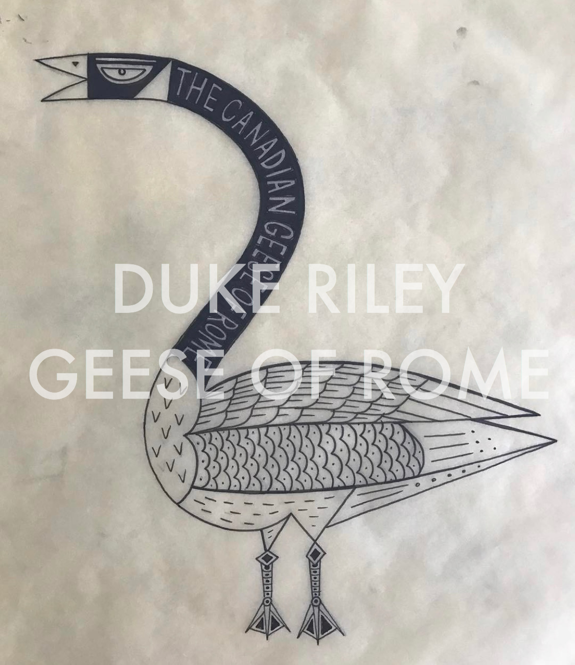 drf_geese_of_rome_50257547581_o.png