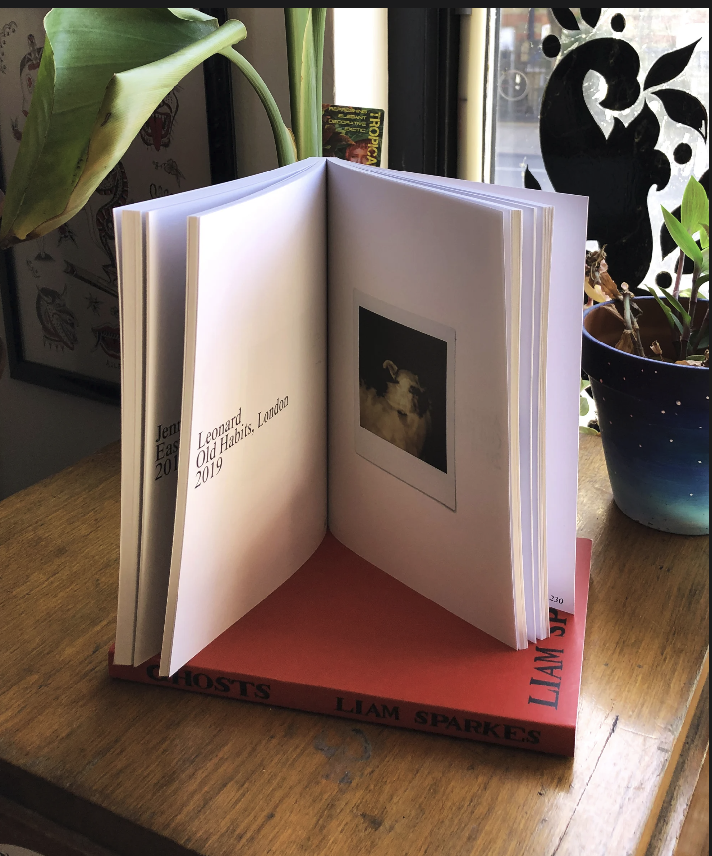 Ghosts Book2.png