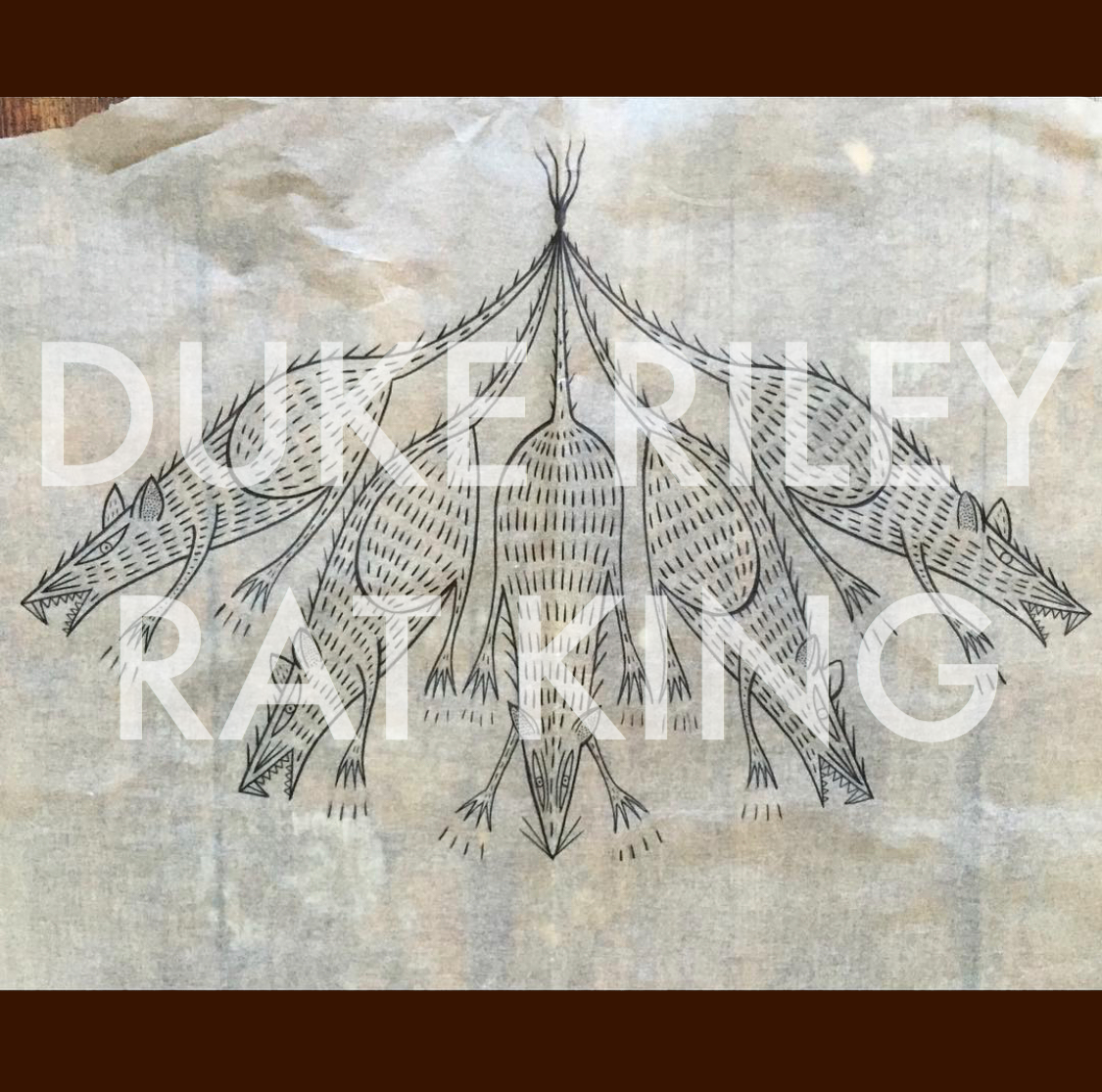 drf_ratking_50256846043_o.png