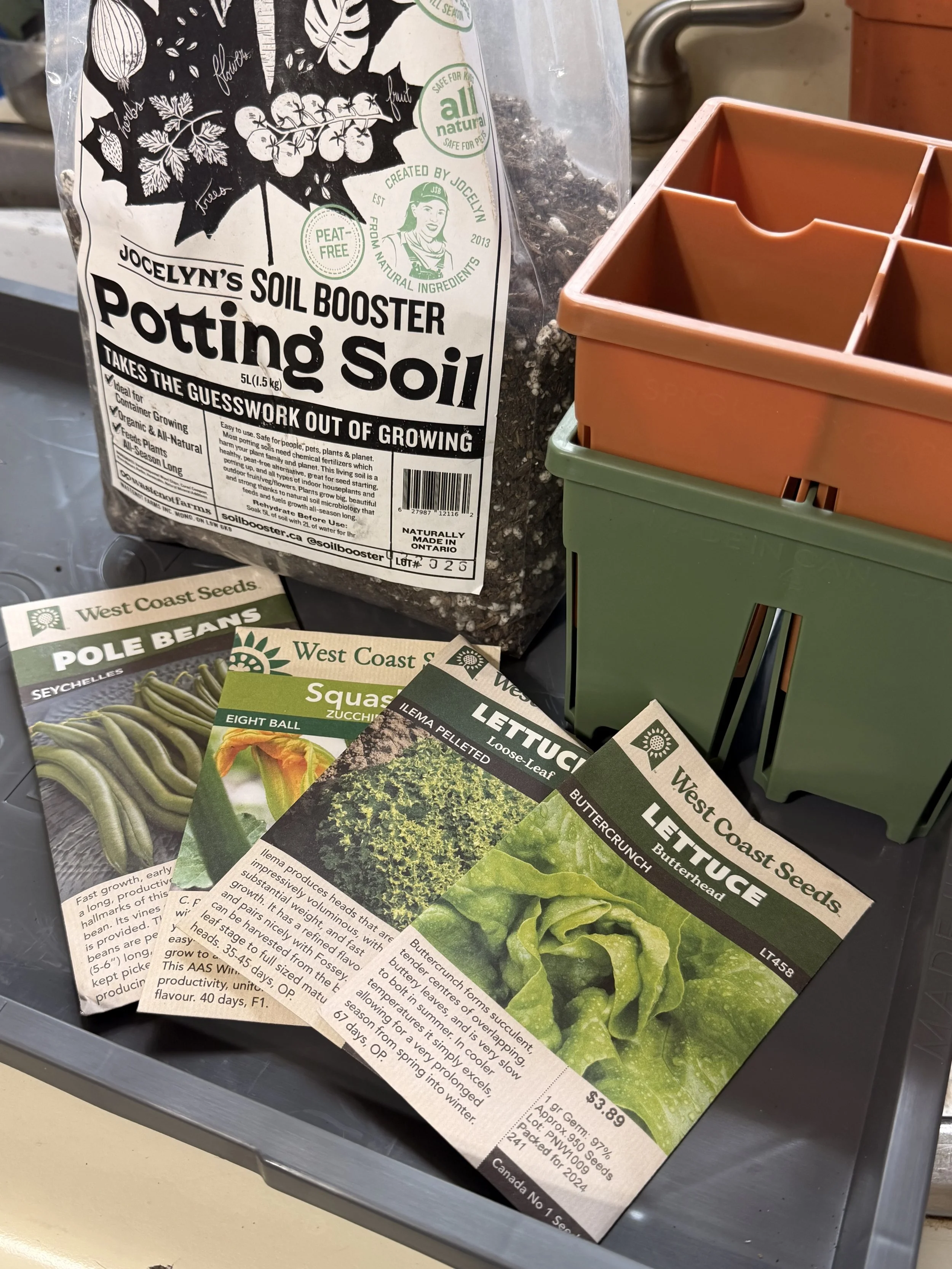 8 Easy Ways to Start Seeds for Your Vegetable Garden