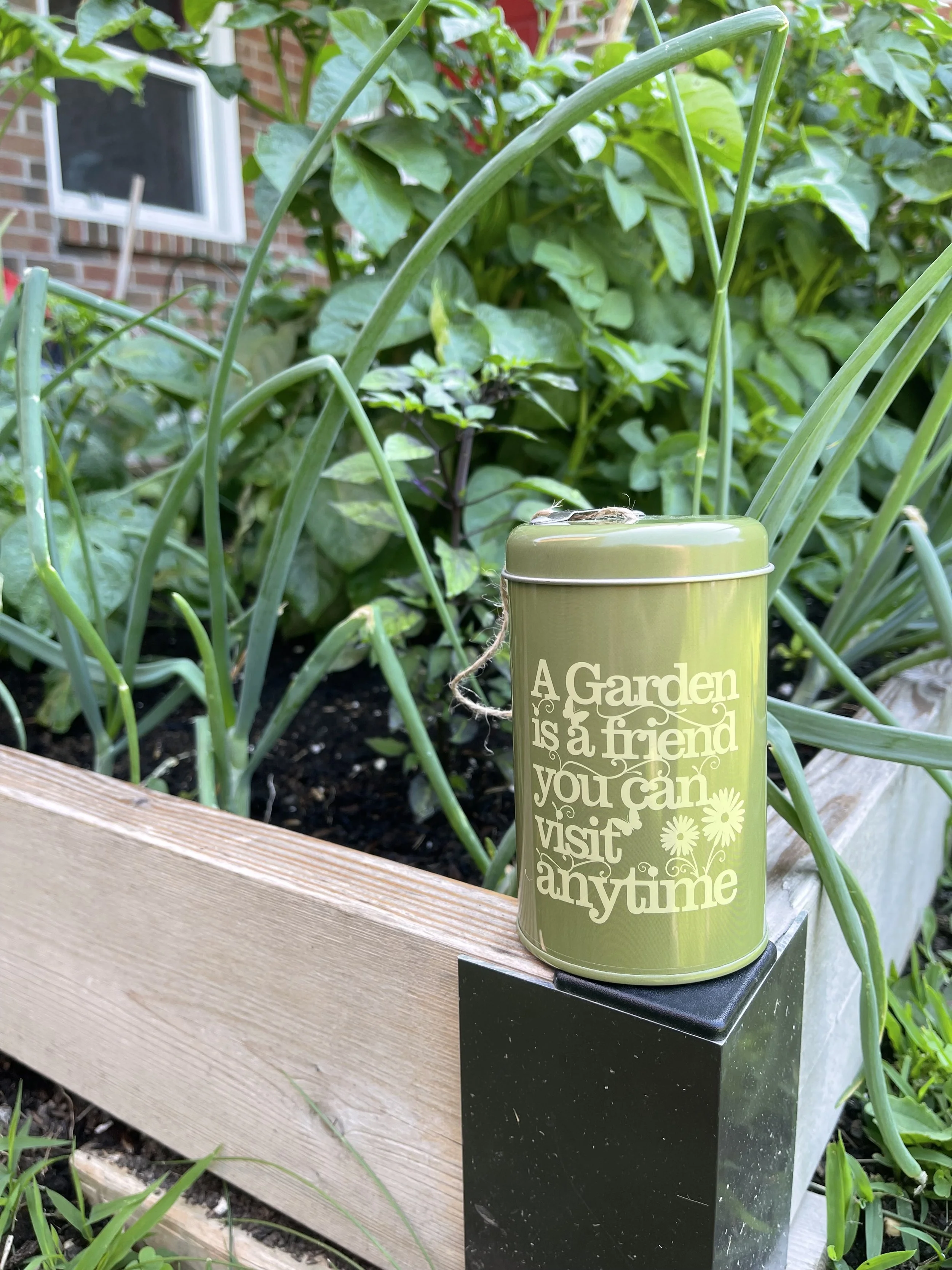 10 Things Every New Gardener Should Know Before Starting a Garden