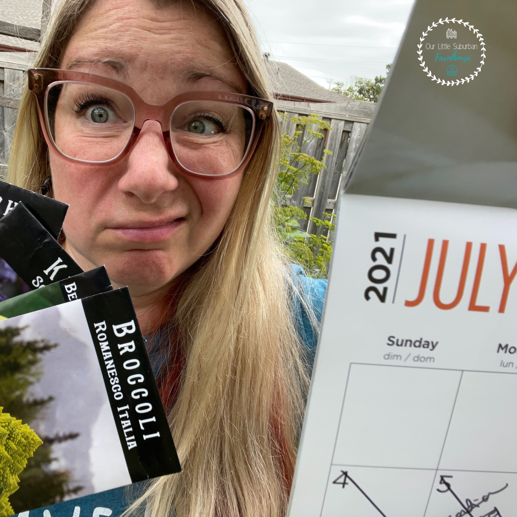 🥬🥕 17 Vegetables to Plant in July for a Fall Harvest