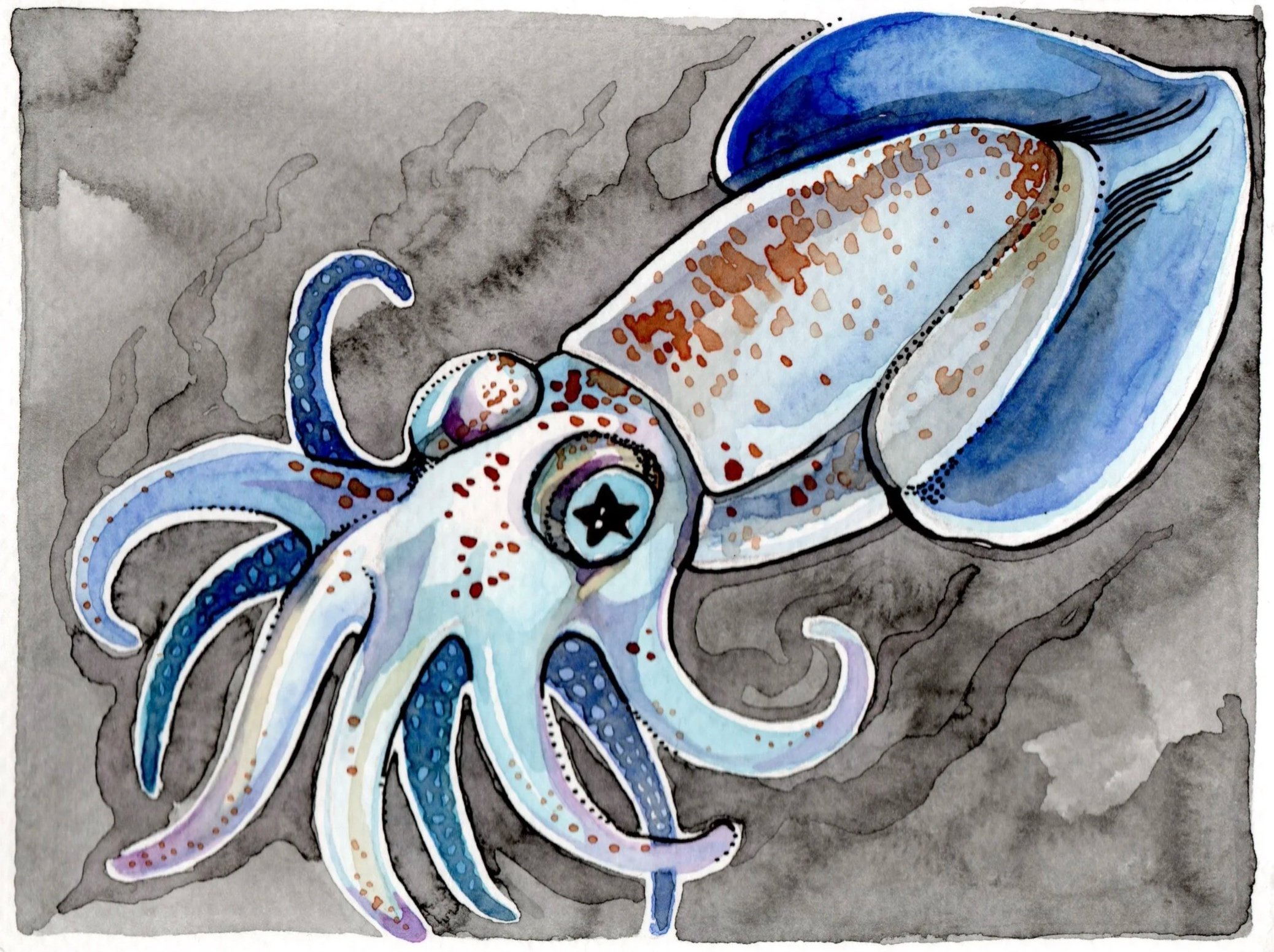 Starry-eyed+Squid_001.jpg