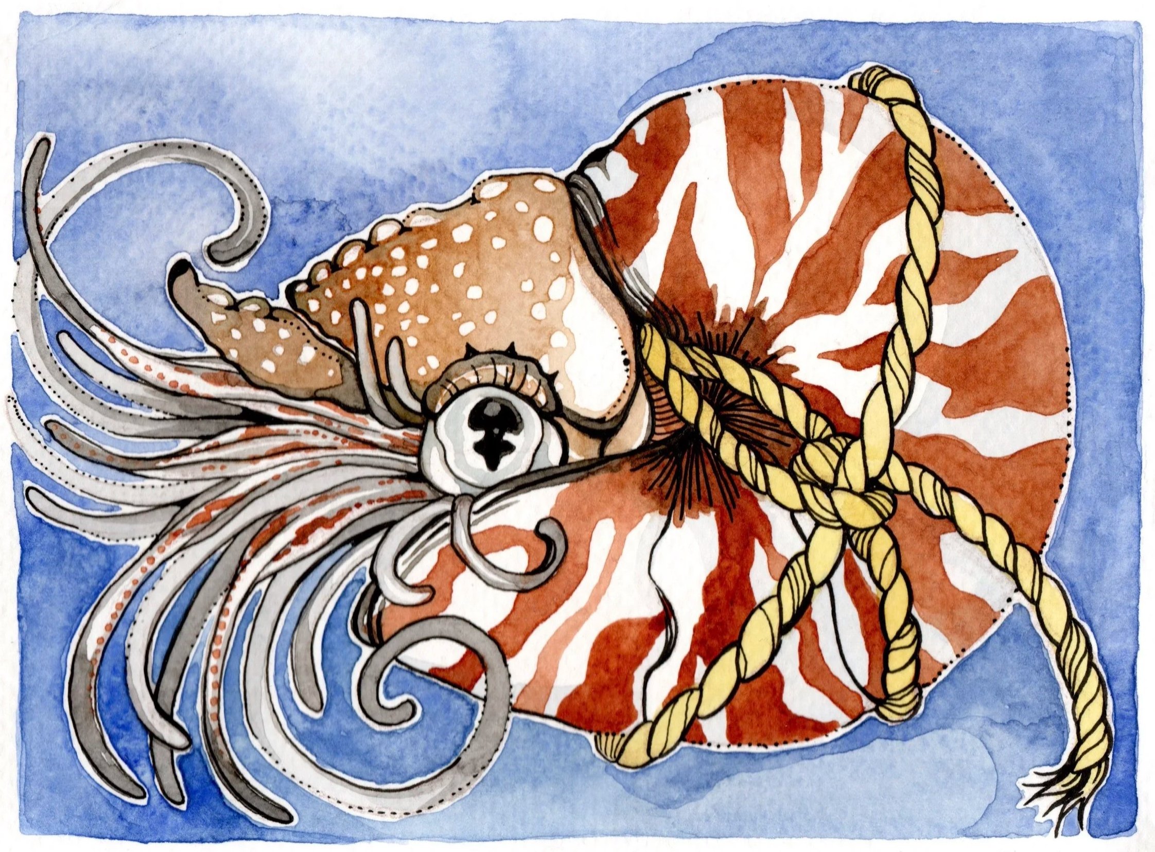 "All Tied Up" 4x6in Watercolor