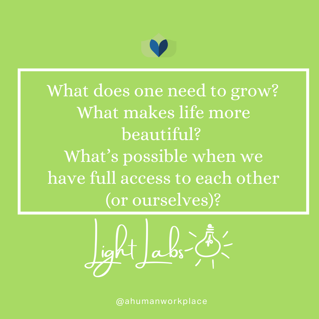What makes life more beautiful and other generative questions. — A ...