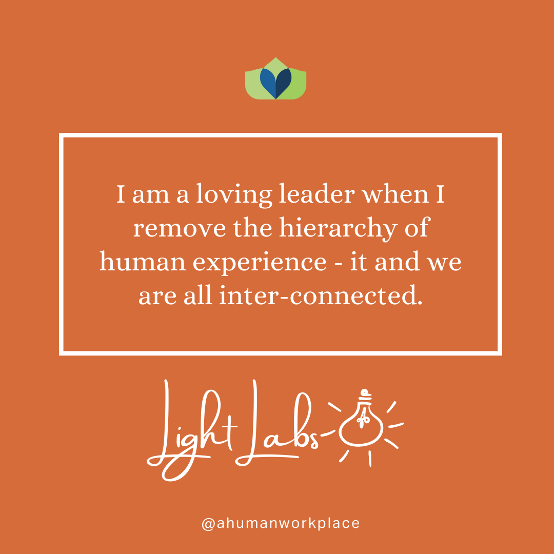 Removing the Hierarchy from Human Experience