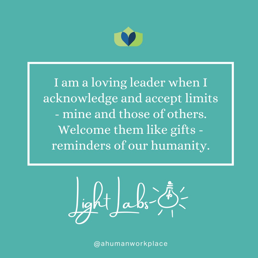 The role of the leader is to model and welcome all human behaviors. 