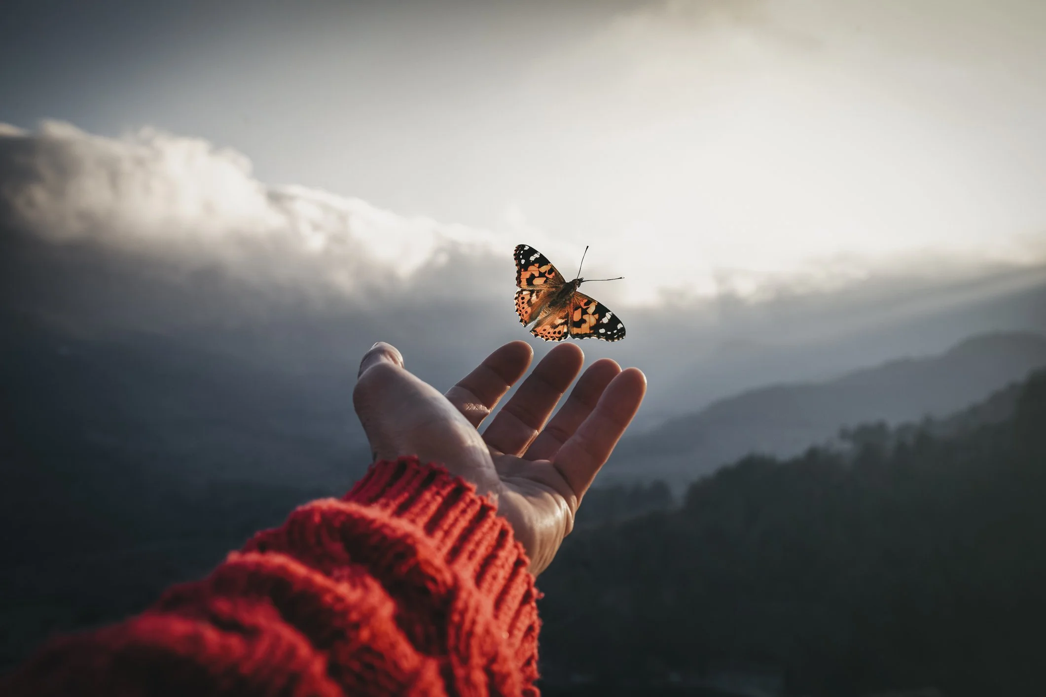 Choosing Love Through Respect When the World Feels Heavy