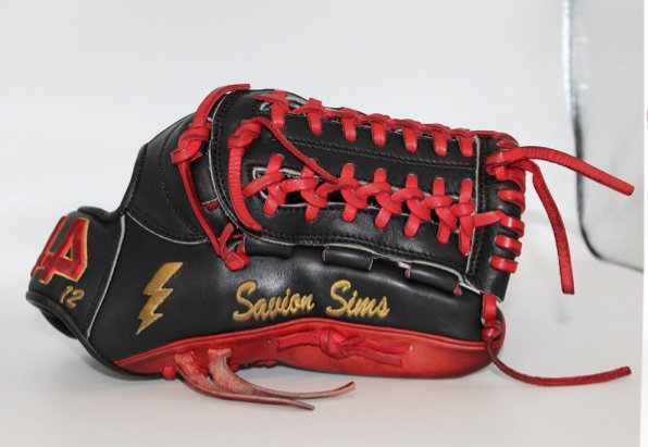 Savion_Glove.jpg