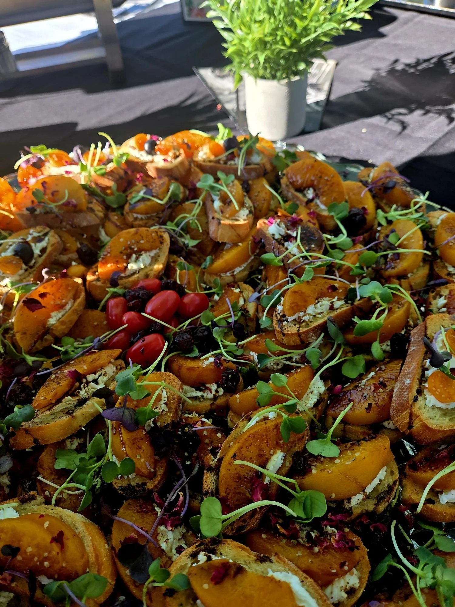 Platter of assorted open-faced sandwiches topped with vegetables and microgreens, with a potted plant in the background on a black cloth table.