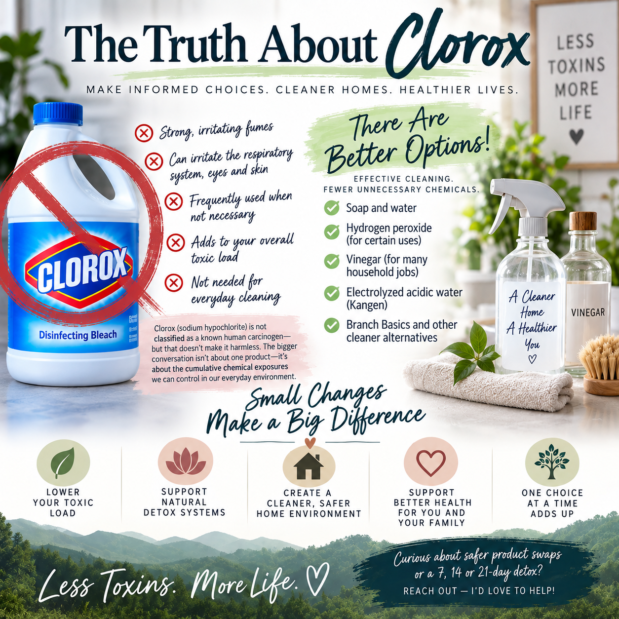 Clorox &amp; Your Body's Burden: Making Informed Choices for Home Health