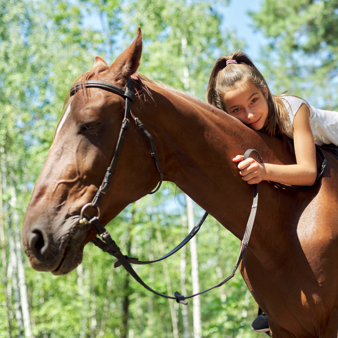Canyonview Horse Lovers Camp.png