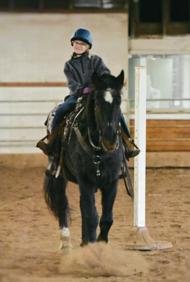 Equestrian Center6.PNG