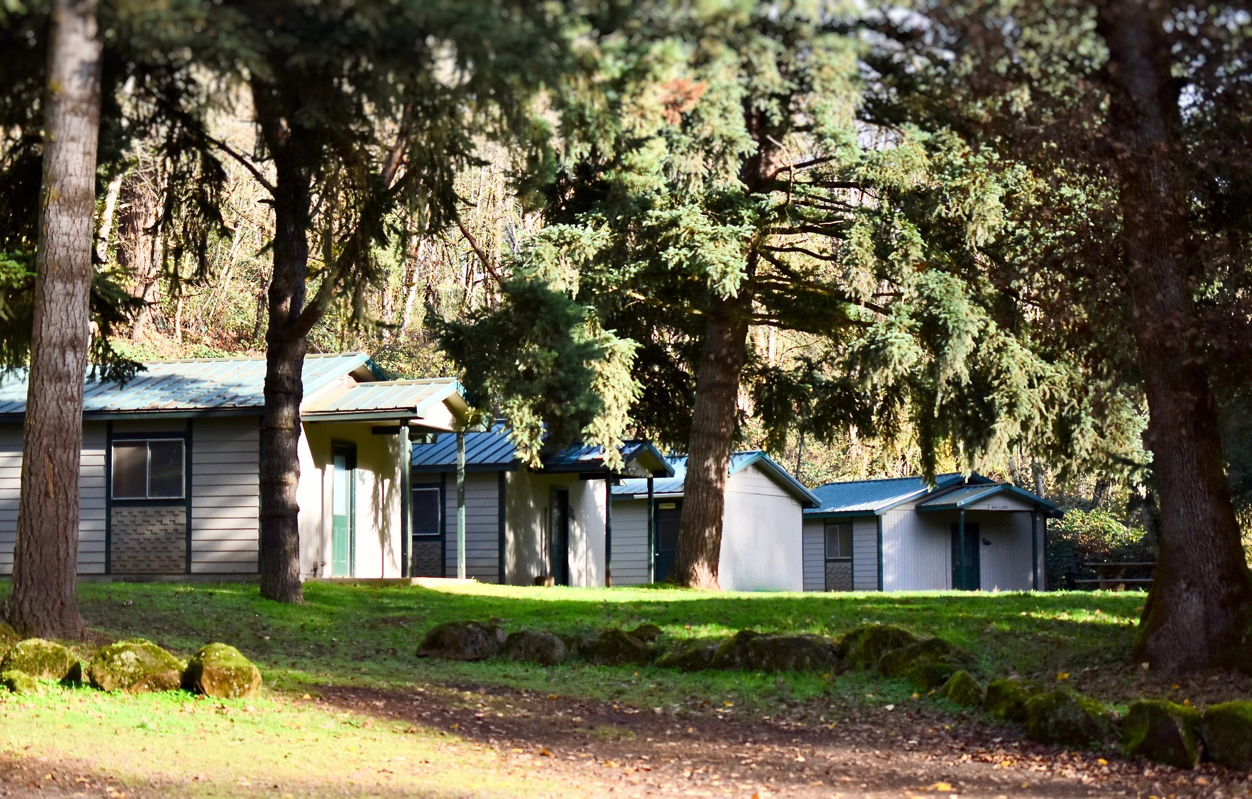 Bird Cabins 1.jpg