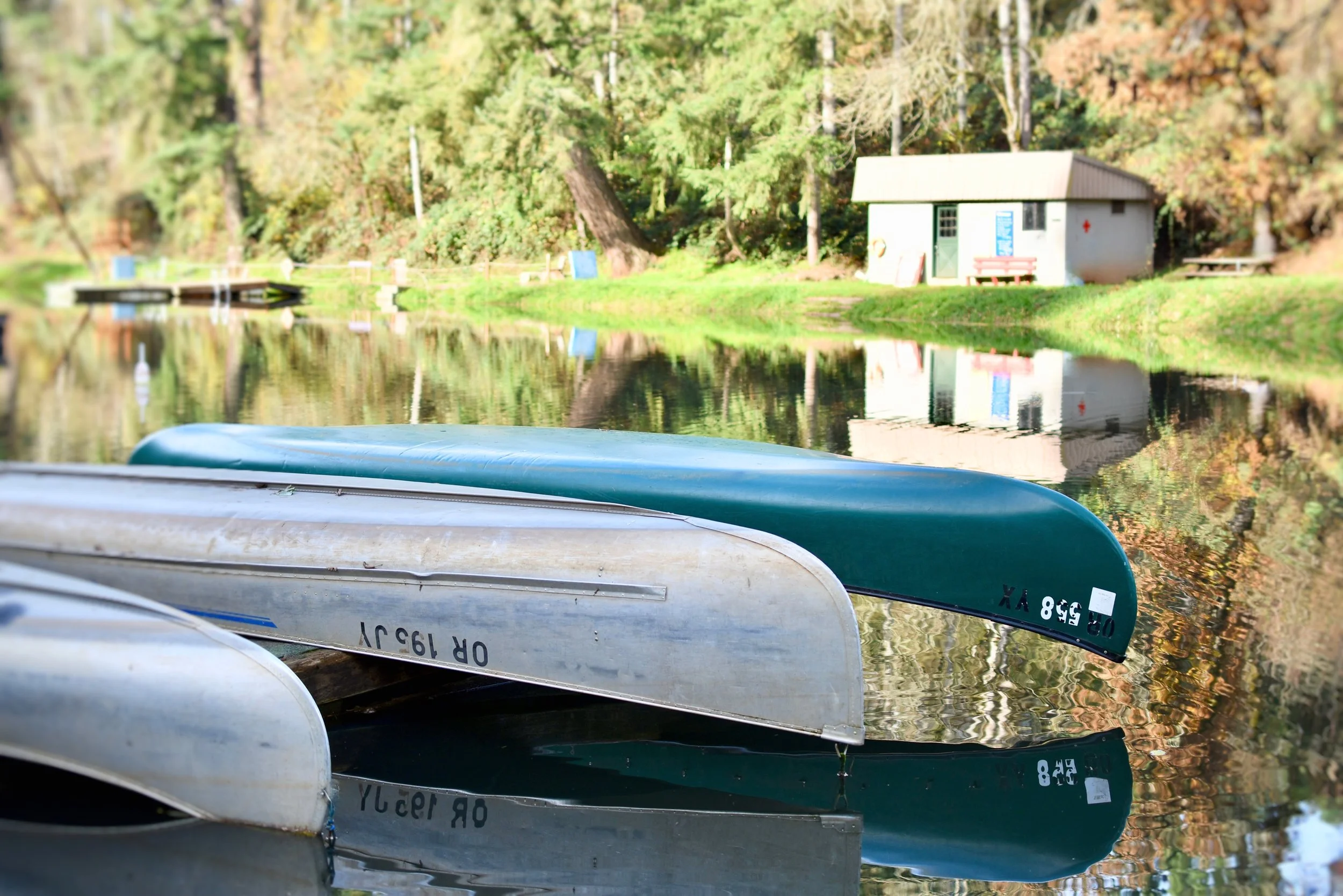Canoes by Lake.jpg