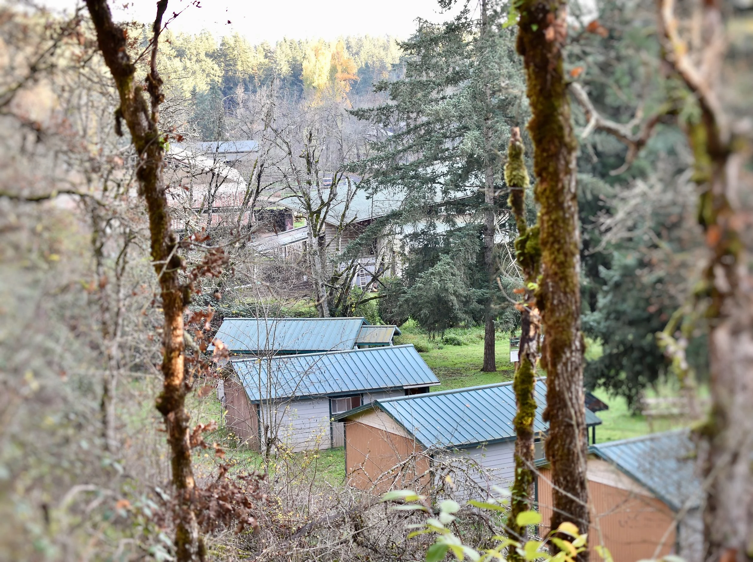CV Campus.jpg