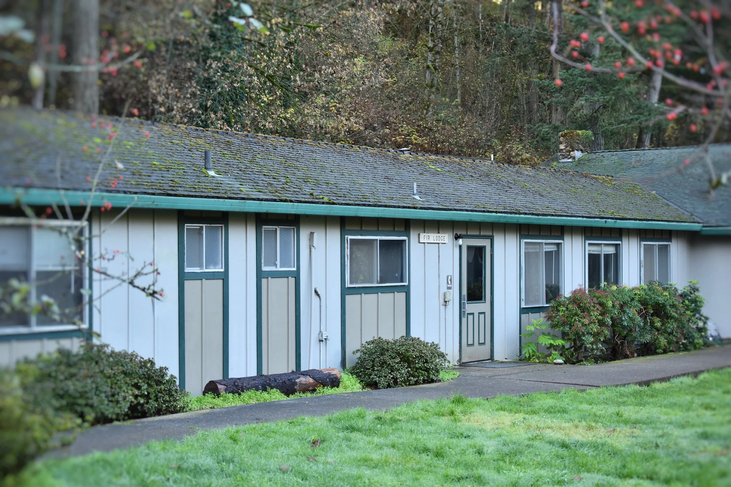 Fir Lodge.jpg