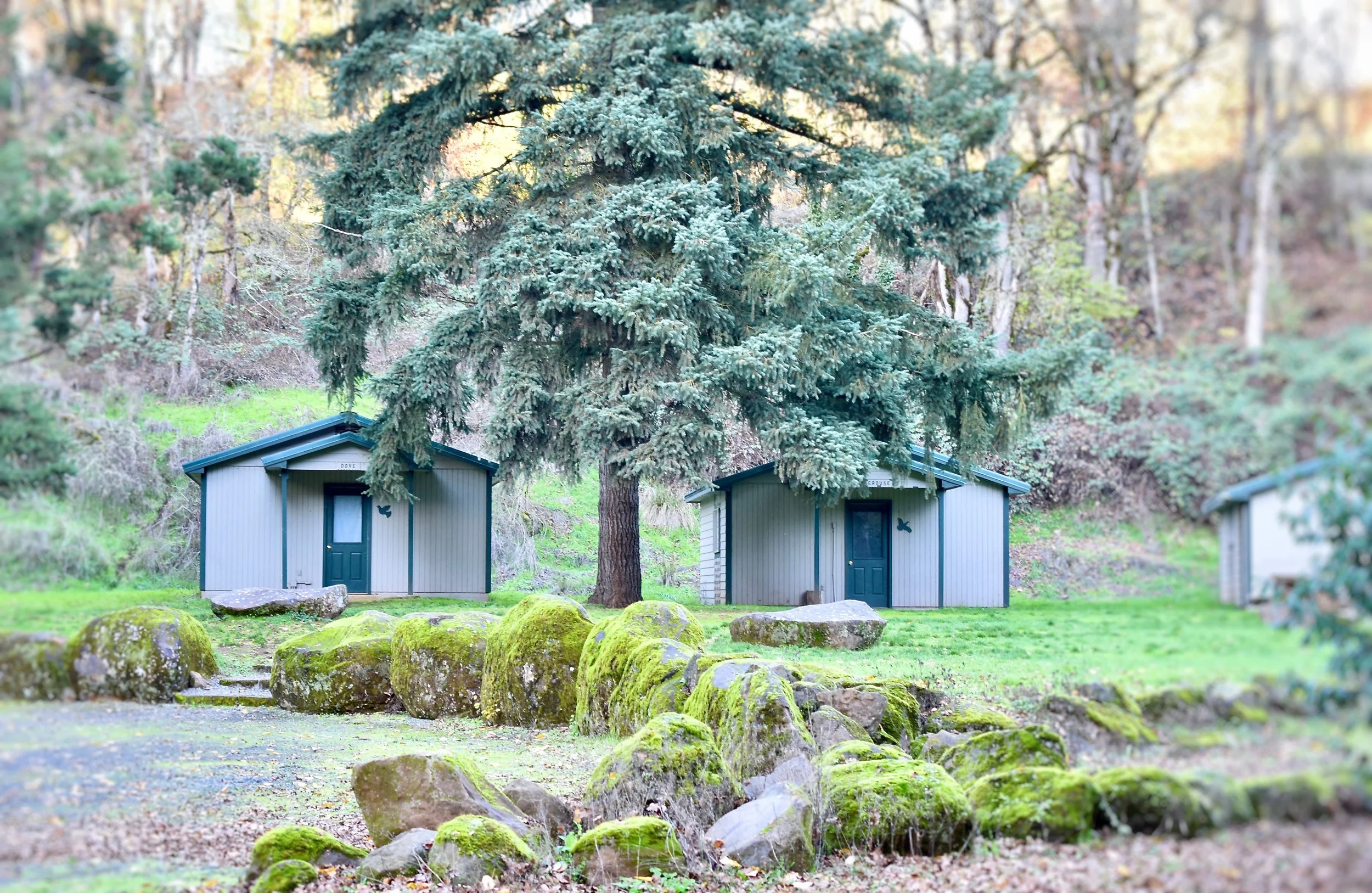 Bird Cabins 2.jpg