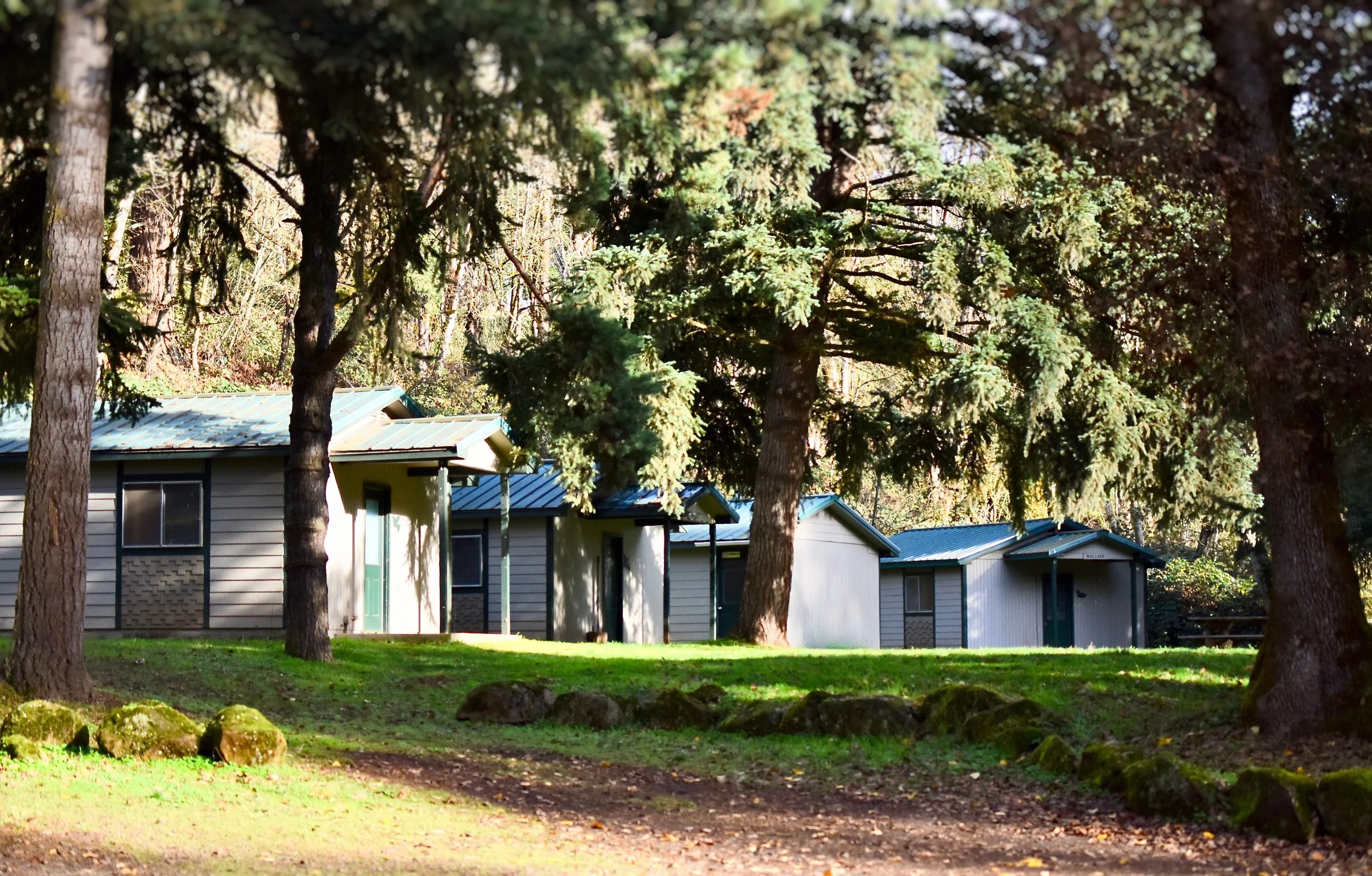 Bird Cabins 1.jpg