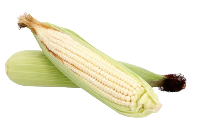 elote_blanco_-removebg-preview.png