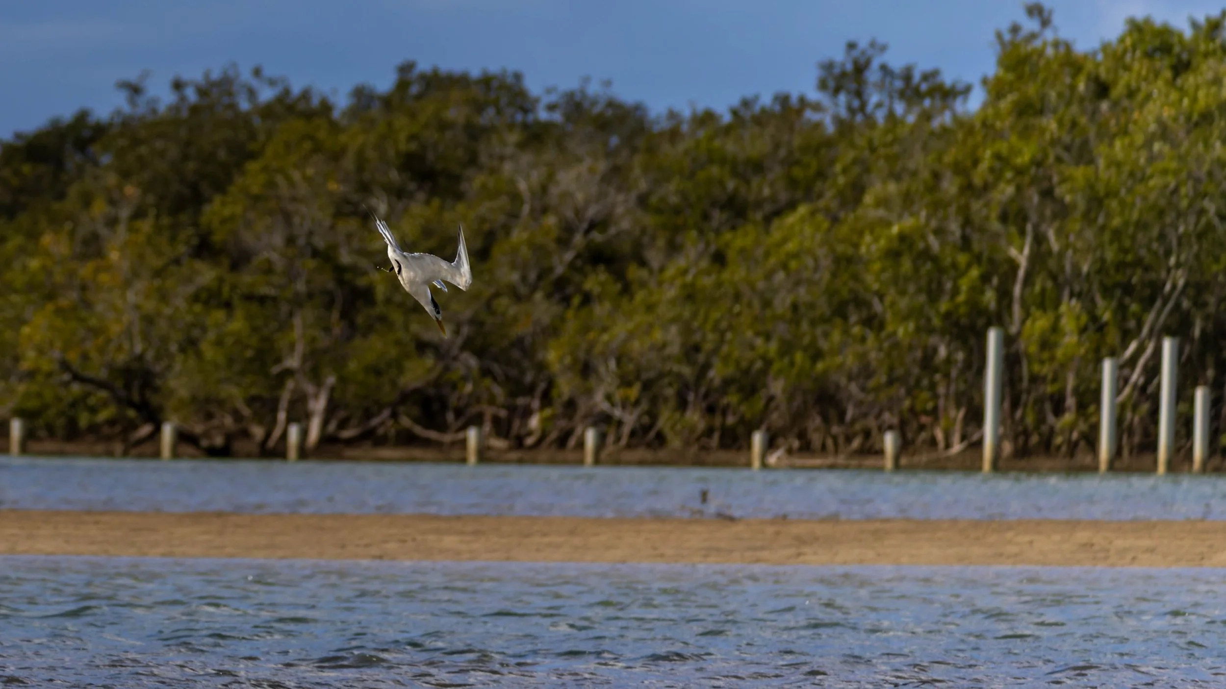 Urunga Lagoon