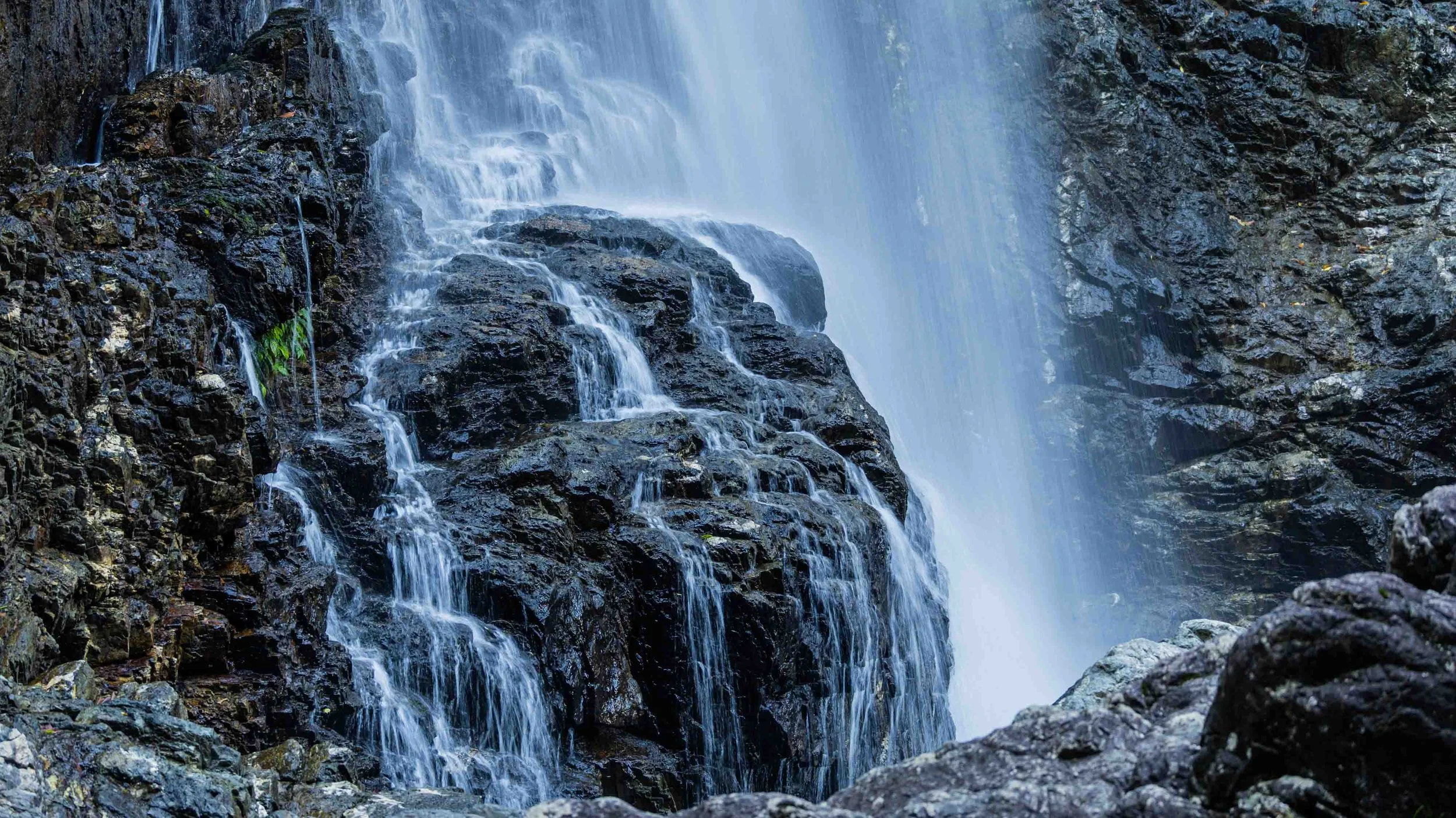 Red Cedar Falls &amp; Dorrigo Rainforest