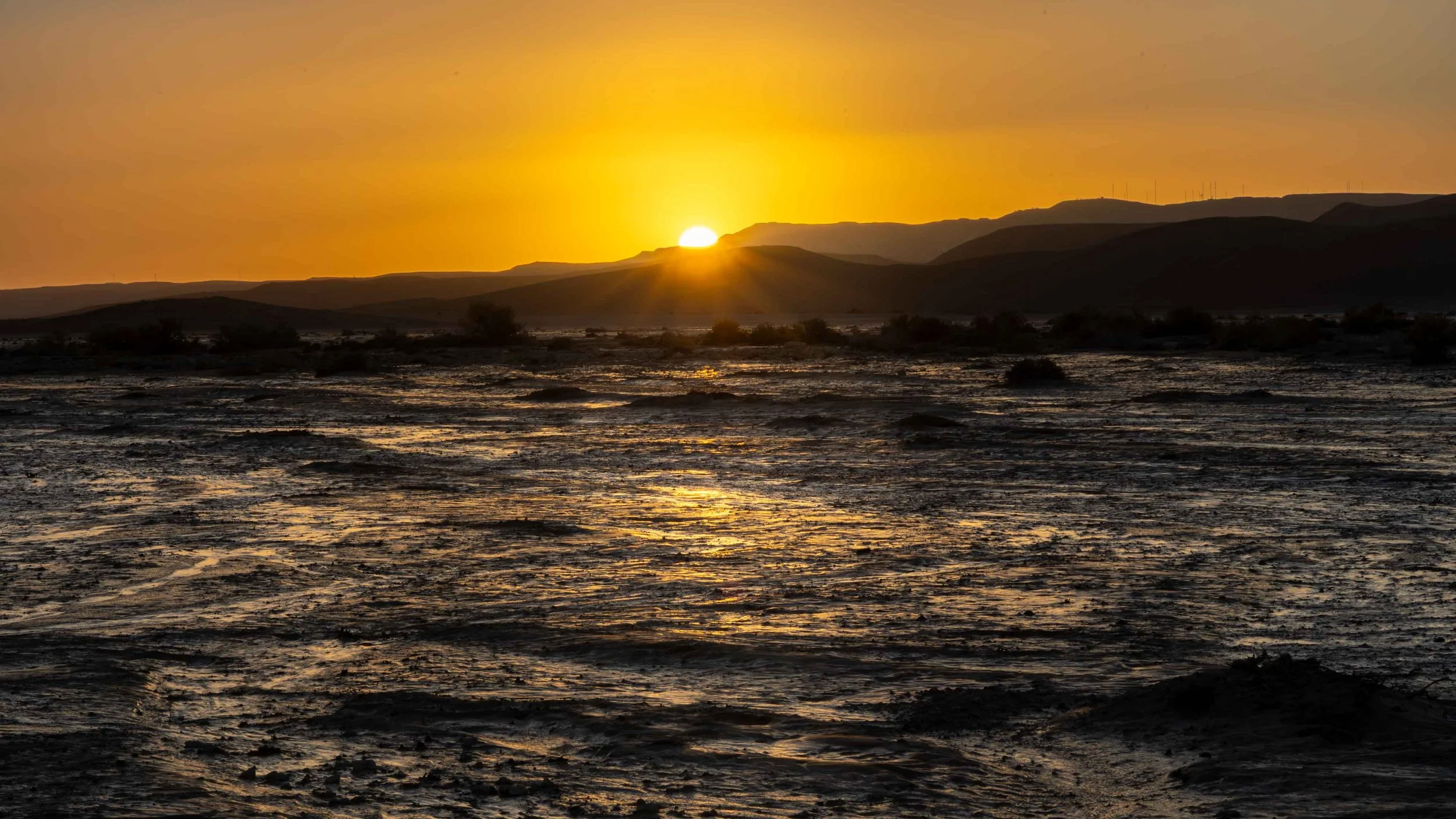 Uvda Valley at sunset after the rain. Southern Arava, Israel