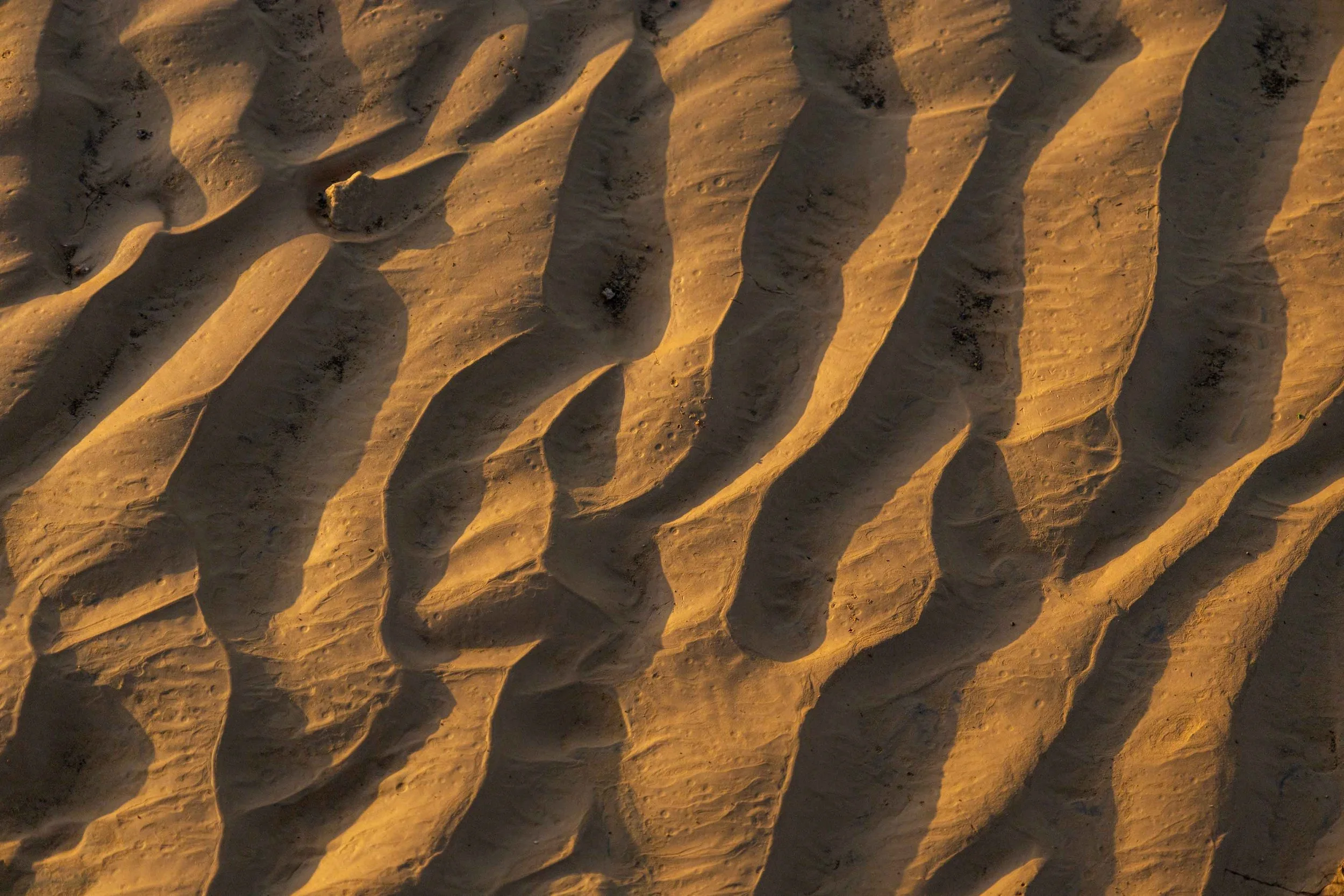 Clay formations after the rain at Uvda Valley, southern Arava, Israel