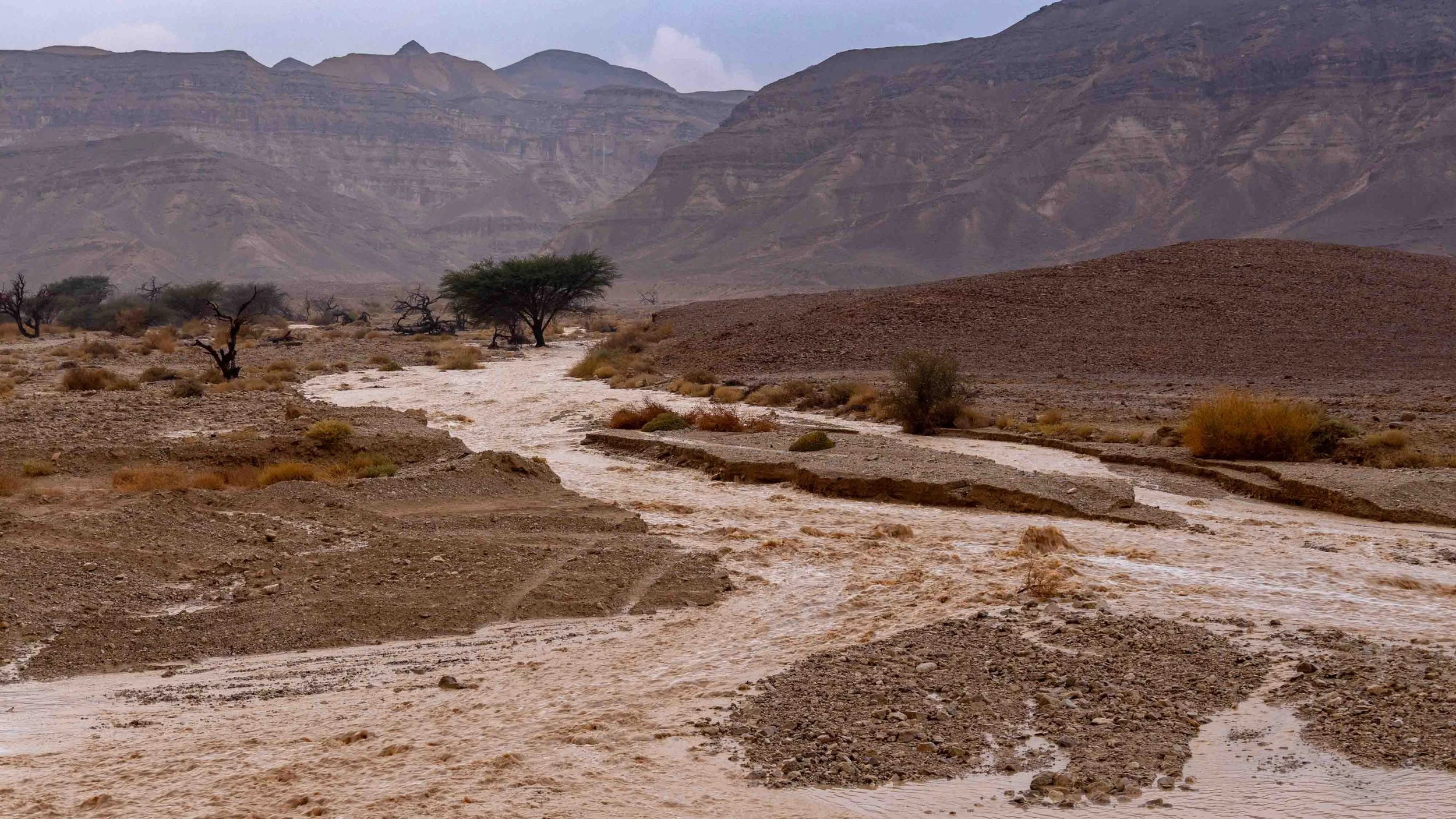 A flash flood in the southern Arava desert, Israel