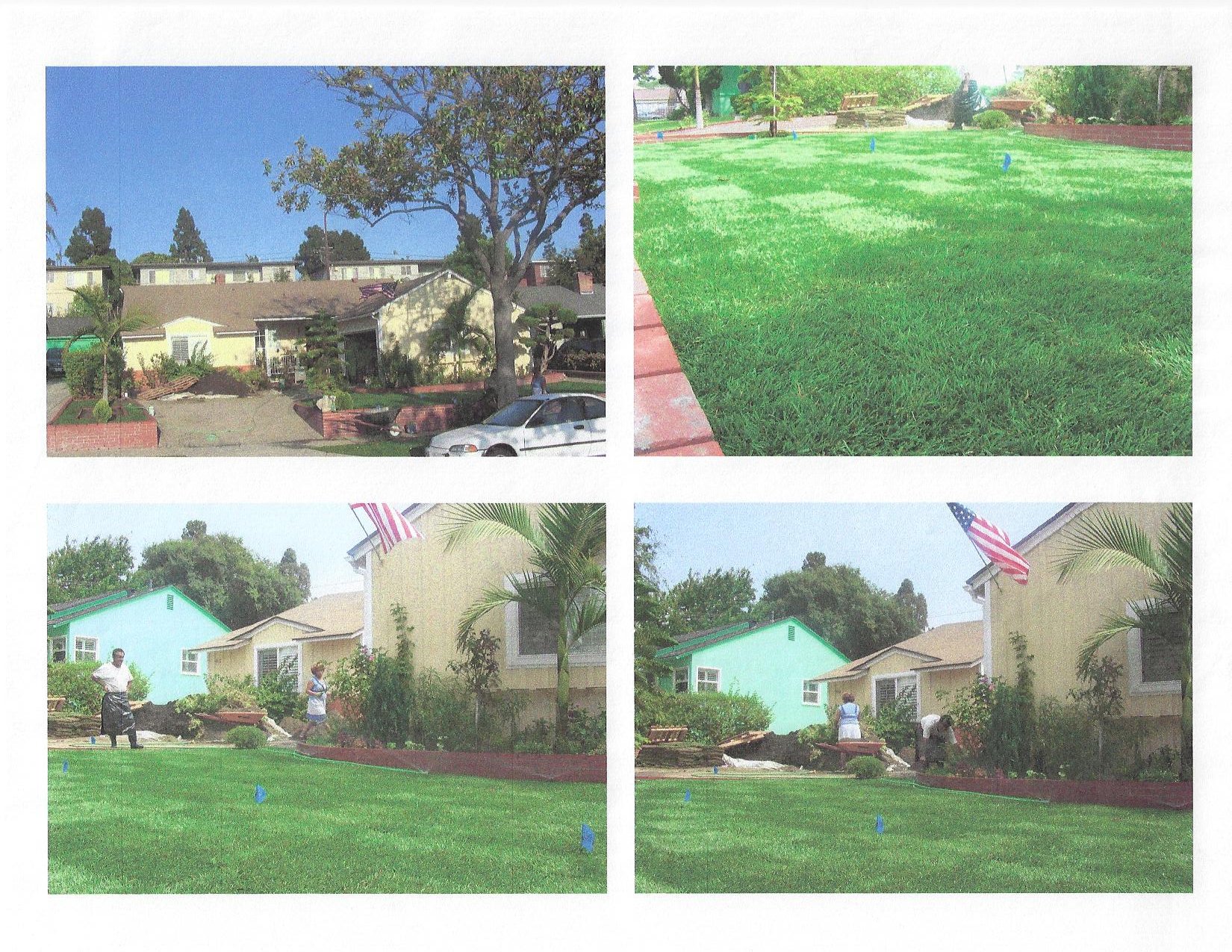 lawn.jpg