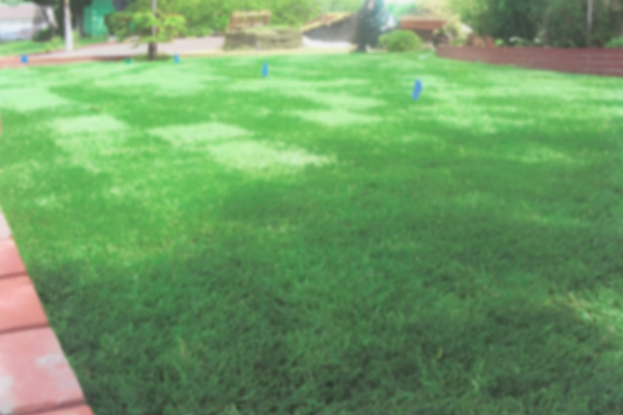 Project 101 - Front Lawn