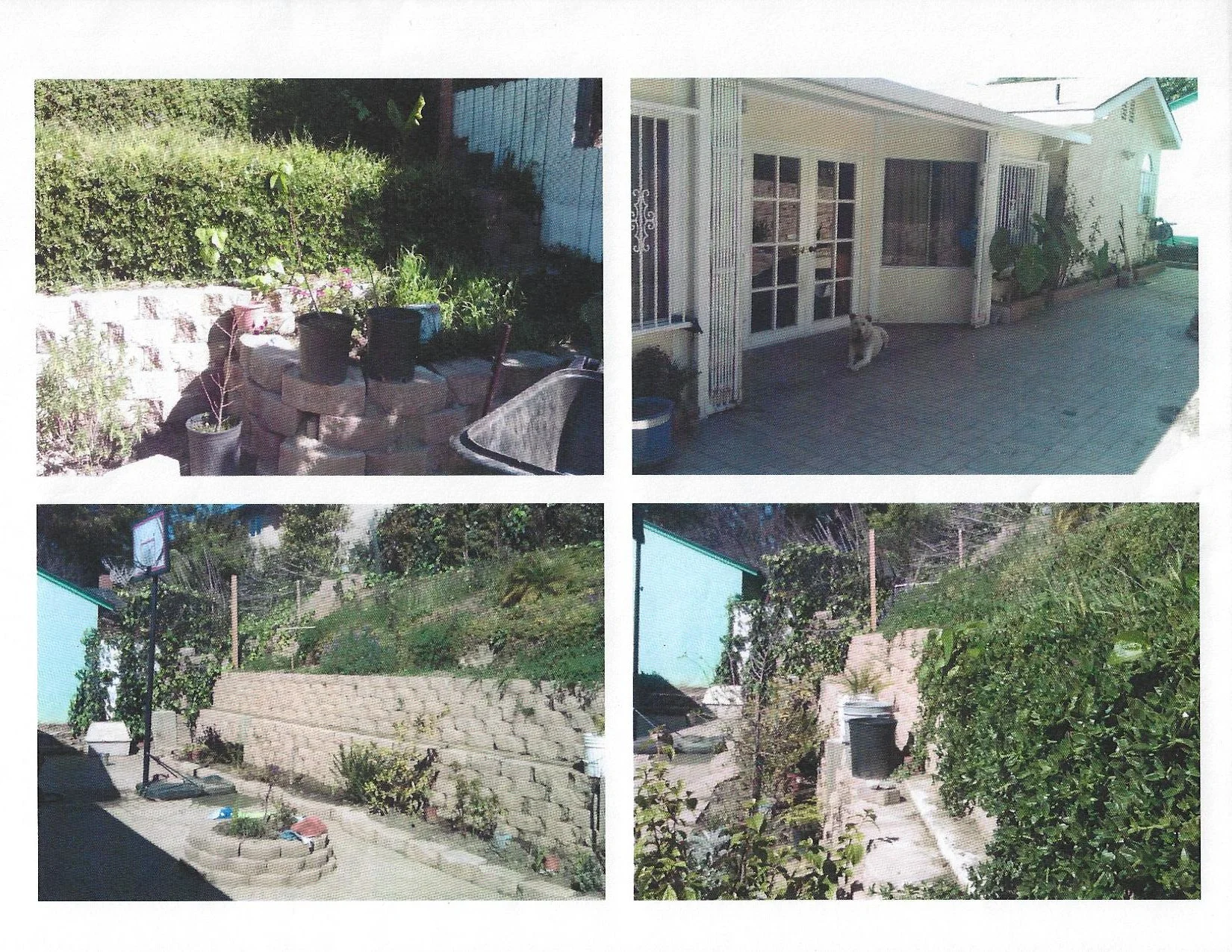 backyard remodel.jpg