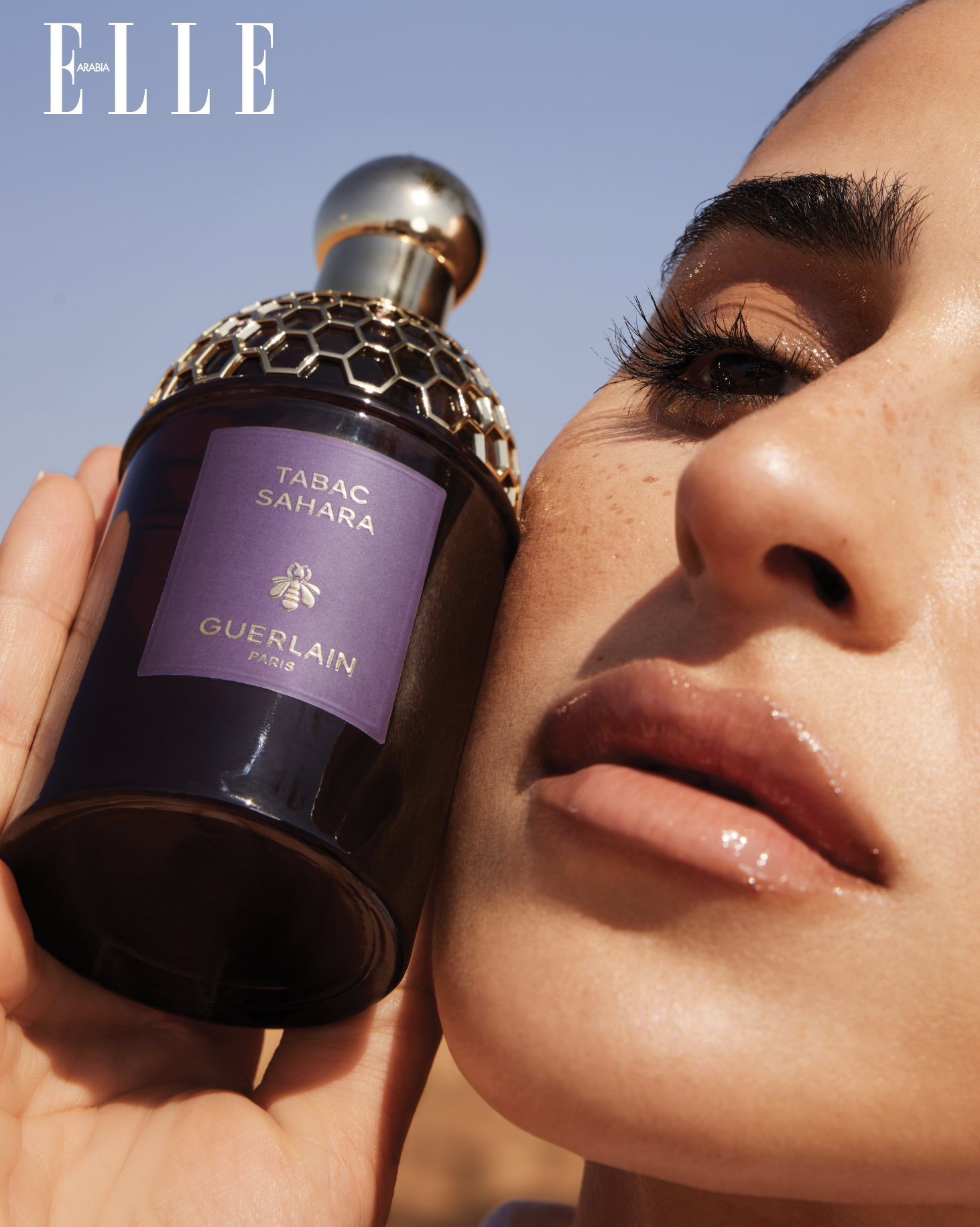 Screenshot 2026-02-05 at 11.49.09 AM.png