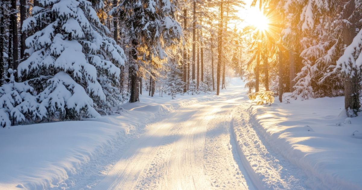 Winter’s Quiet: A Path to Living with Less Stress and More Ease