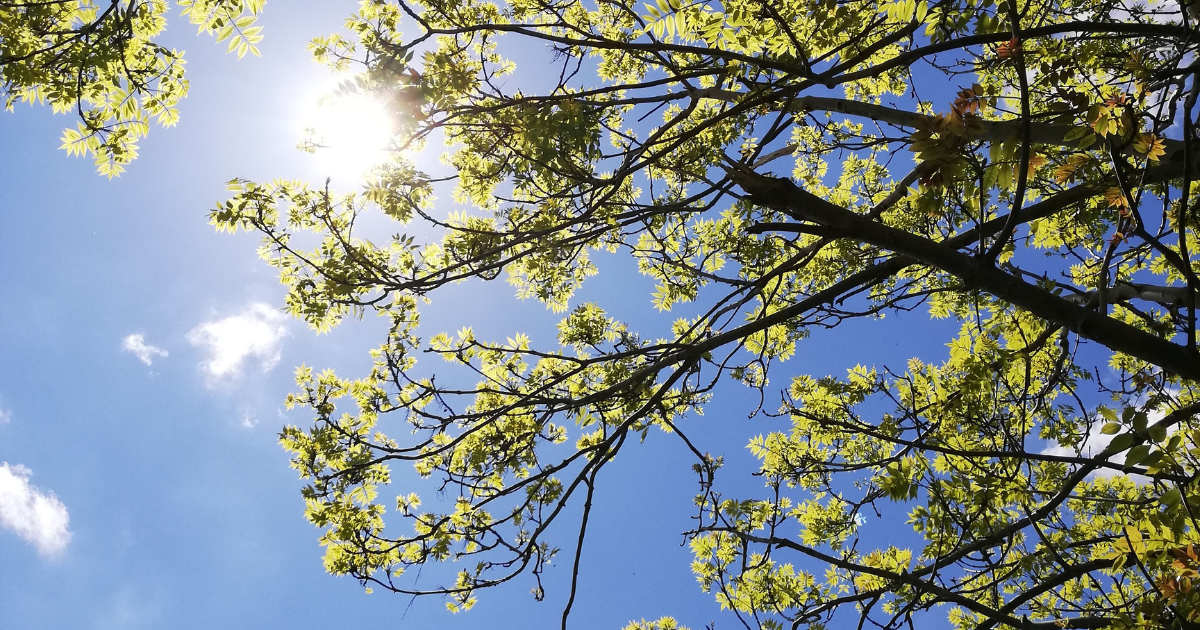 A Spring Message from Pam