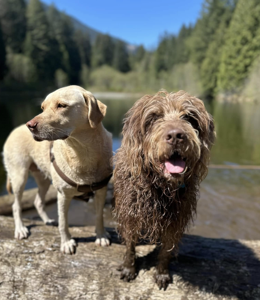 Screenshot 2025-03-07 at 11.29.47 AM.png