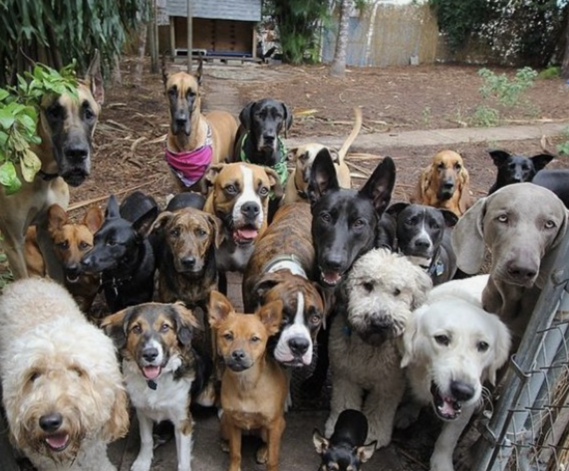 Screenshot 2025-03-07 at 11.31.08 AM.png