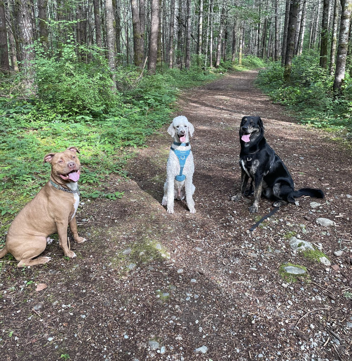 Screenshot 2025-03-07 at 11.30.37 AM.png