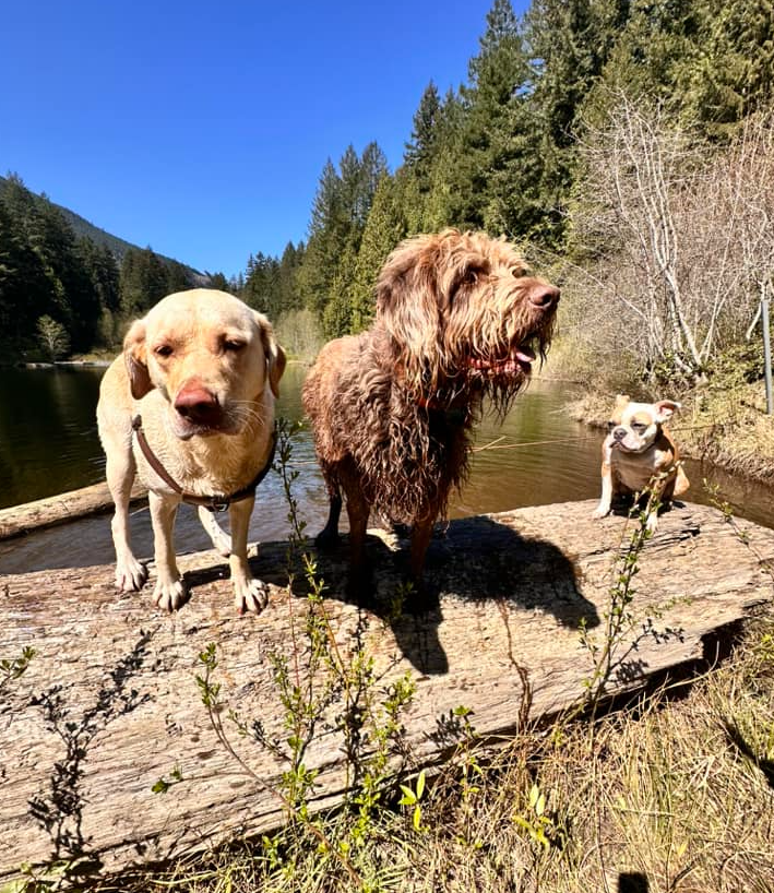 Screenshot 2025-03-06 at 11.17.21 AM.png