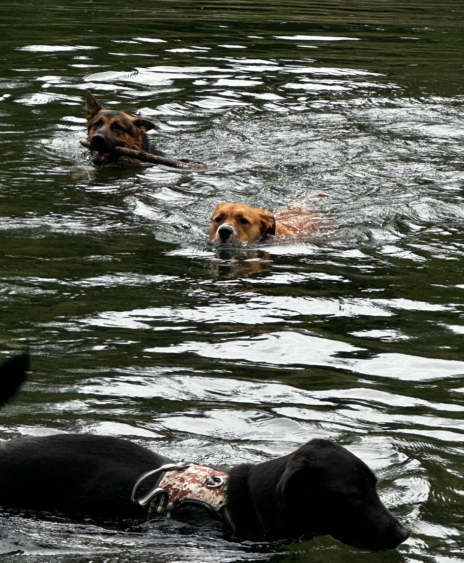 Screenshot 2025-03-06 at 11.15.58 AM.png