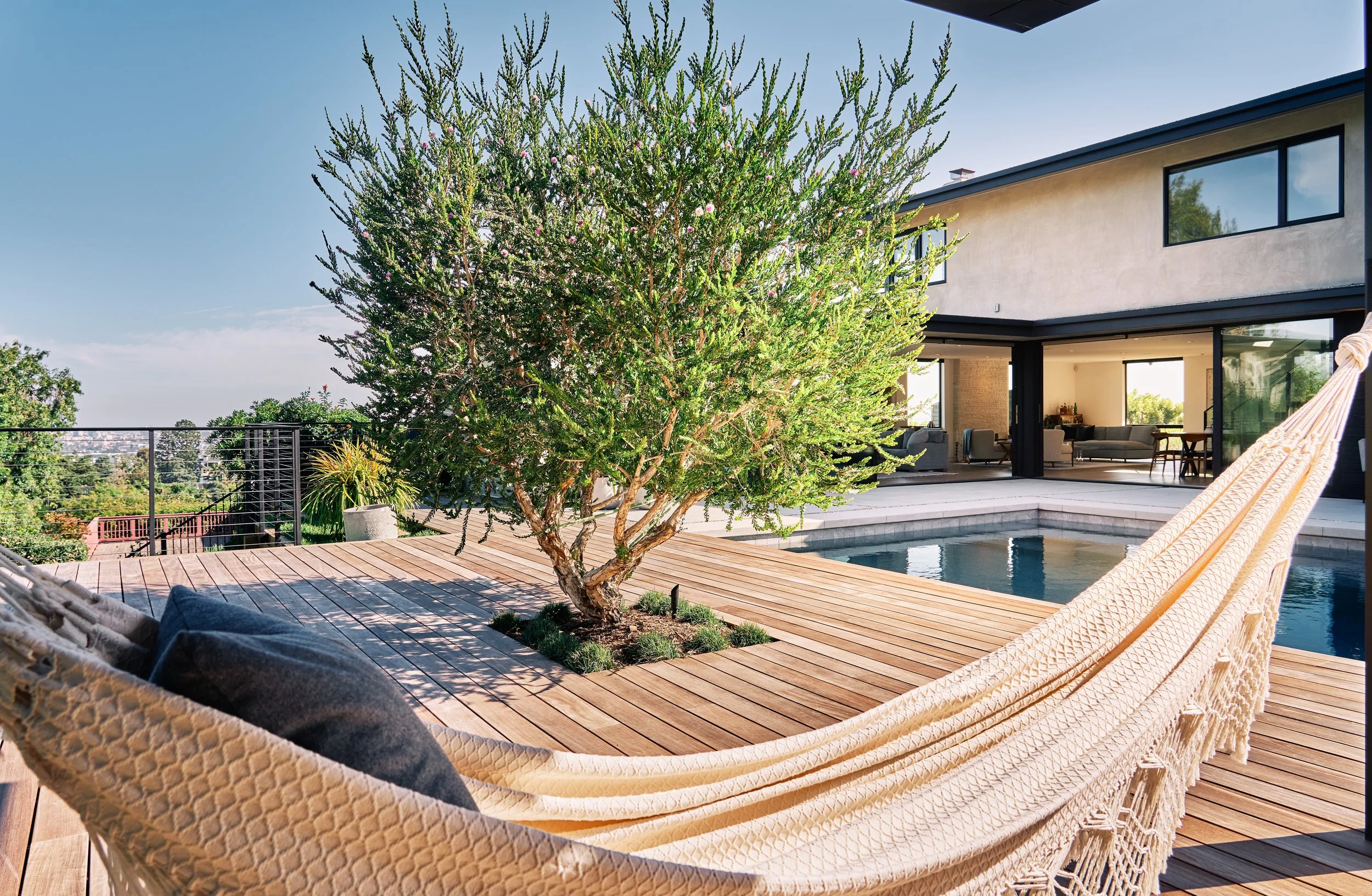 Modern backyard with a tree, wood deck, swimming pool, and hammock. Contemporary house with large windows in the background.