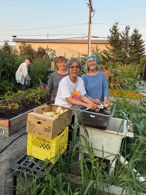 Calvary's Garden 2.jpg