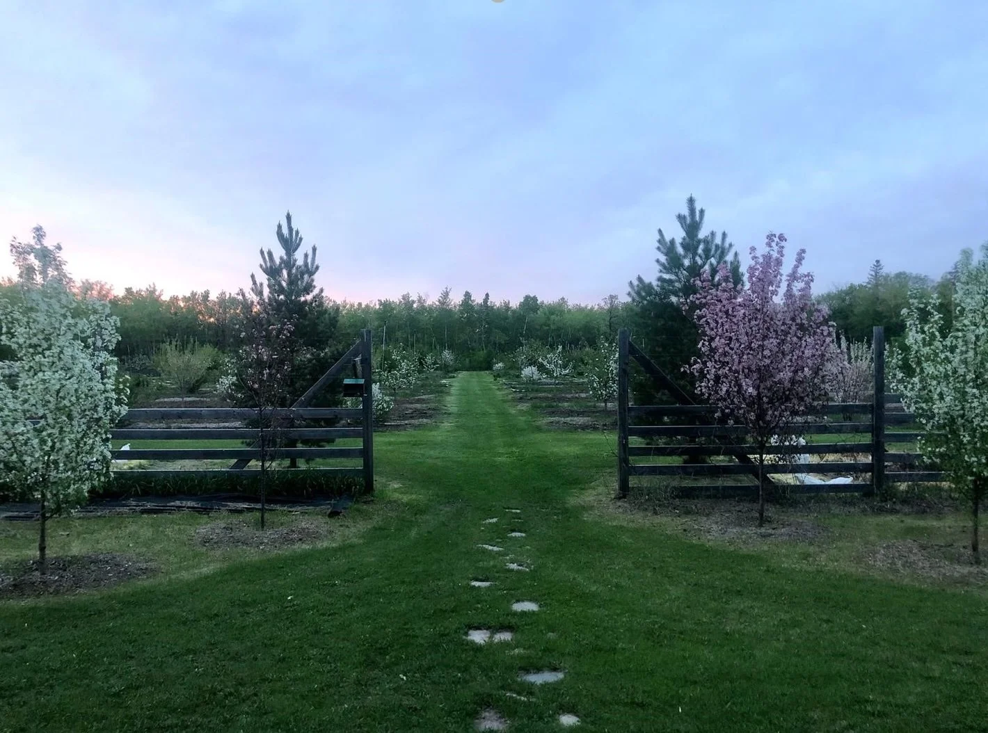Gardening in Glory