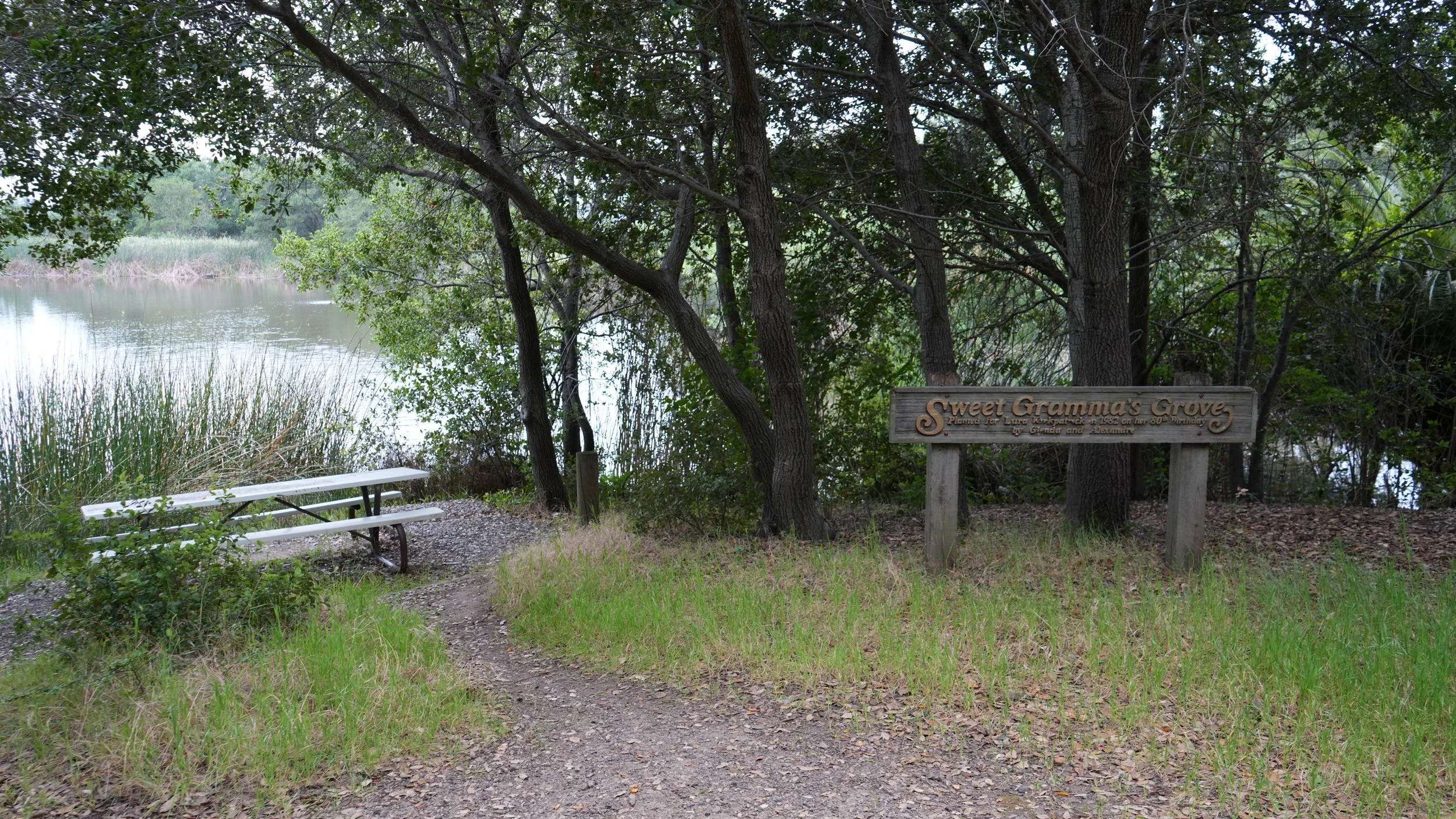 Scenic view of a lakeside area with a path, a picnic table, trees, and a sign that reads 'Sweet Gnomea's Grove, Planted for Laura Knapatch in 1982 on her 80th birthday, Glen and Arlene'.