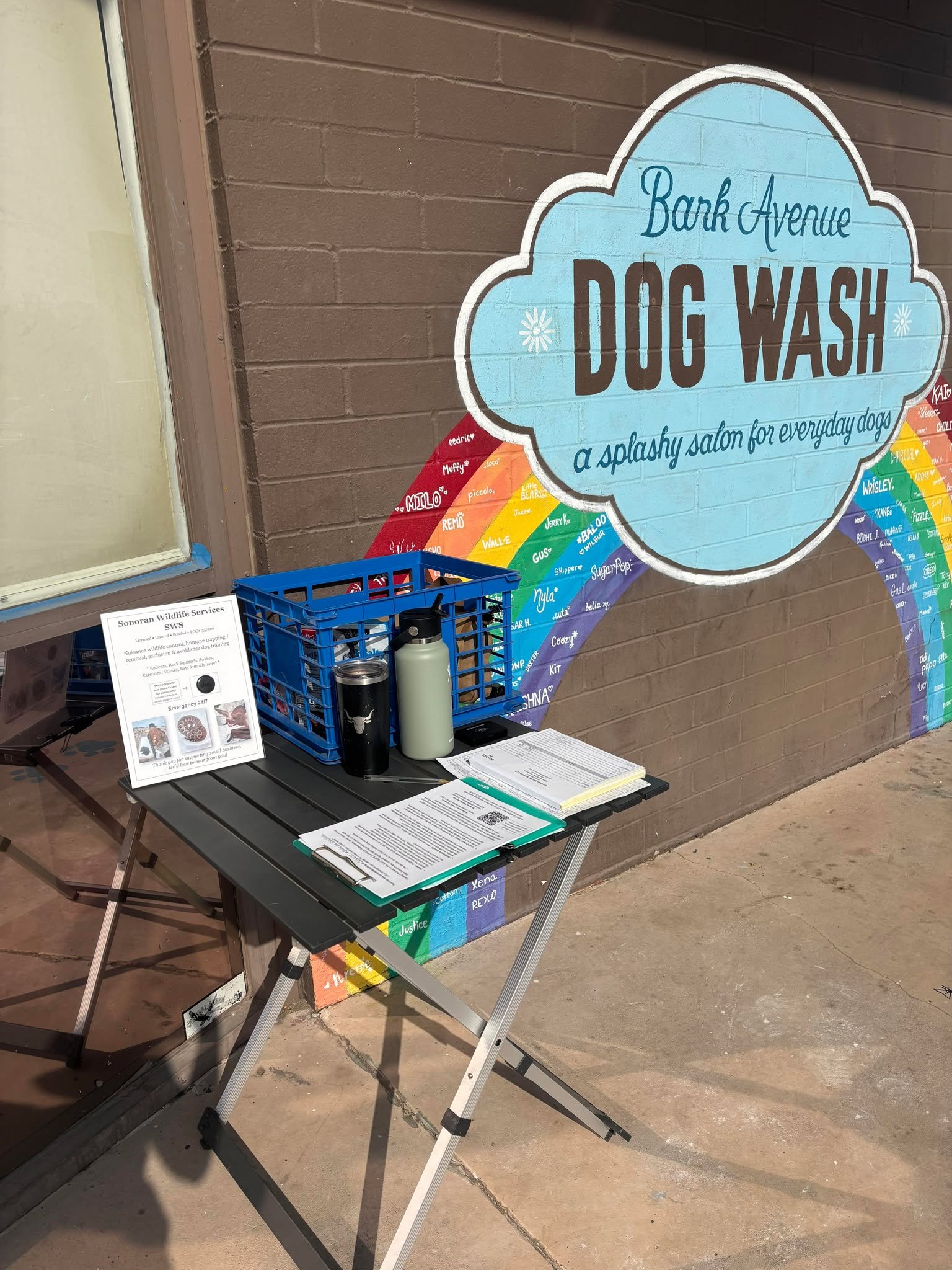 Rattlesnake Training for dogs at Bark Avenue Tucson. Tucson snake training for dogs. Tucson rattlesnake training for dogs. Tucson rattlesnake removal. Tucson emergency snake removal