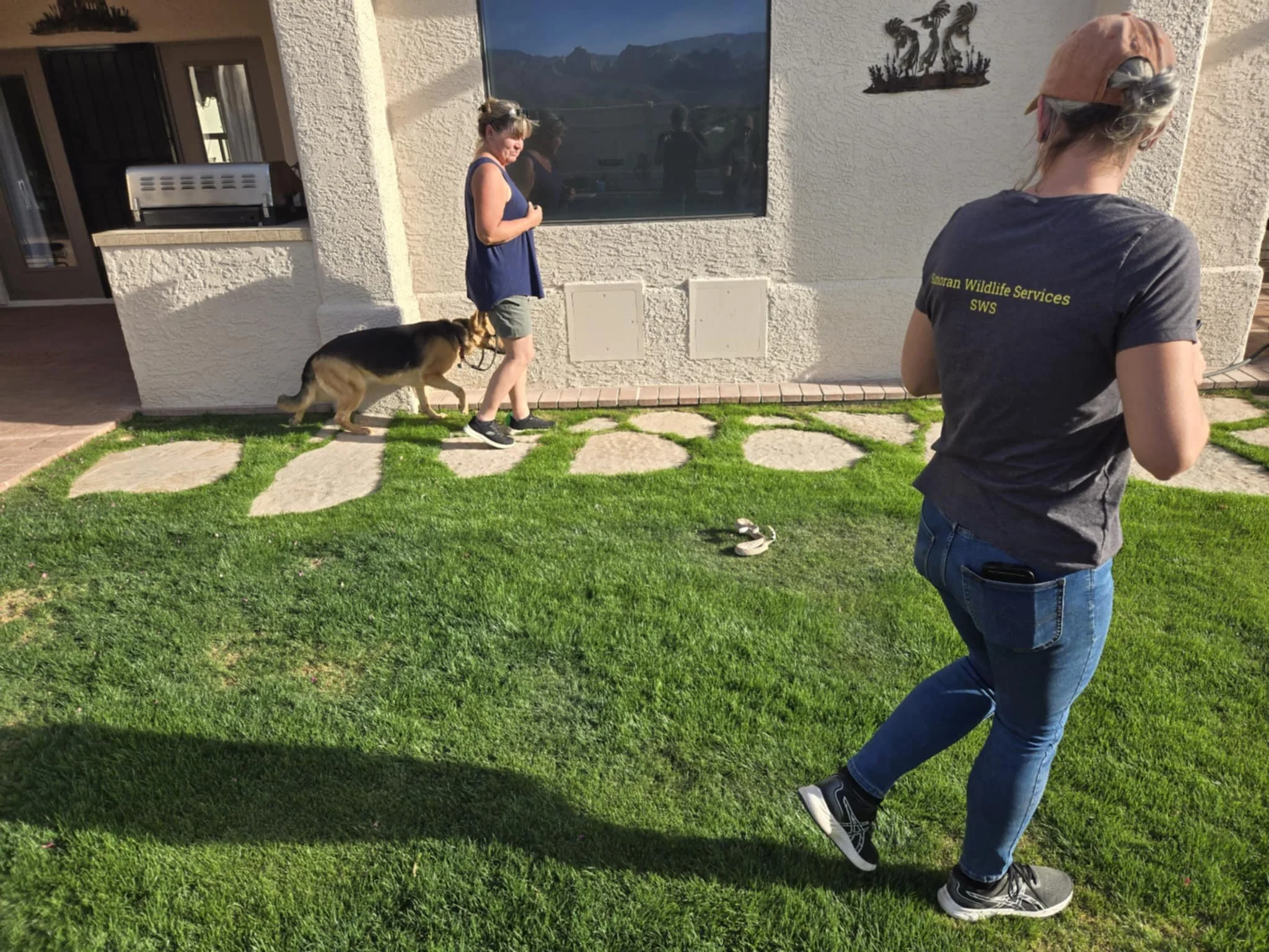 Rattlesnake avoidance training for dogs Tucson. Tucson snake training for dogs. Tucson rattlesnake removal. Tucson snake removal. Tucson emergency wildlife services
