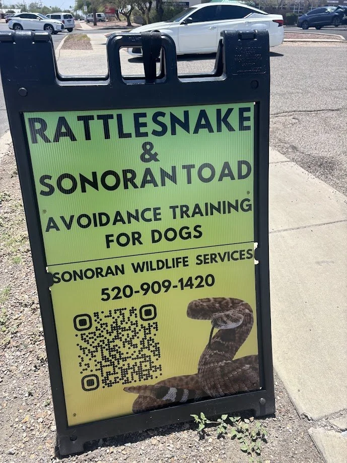 Rattlesnake and Sonoran toad avoidance training for dogs. Tucson toad avoidance for dogs. Tucson toad training for dogs. Tucson emergency wildlife removal. Tucson snake removal. Tucson rattlesnake removal.