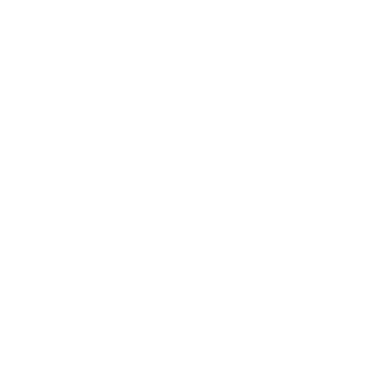 Dirk Stone &amp; Co.