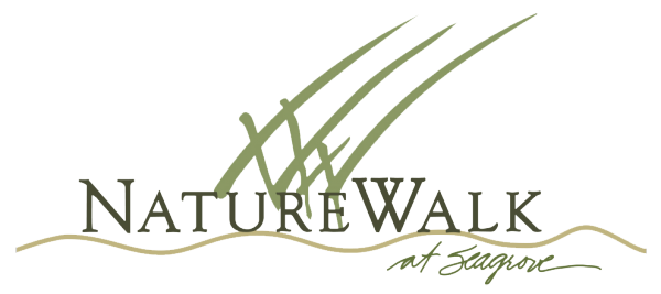 NW-Logo-600x267-1.png