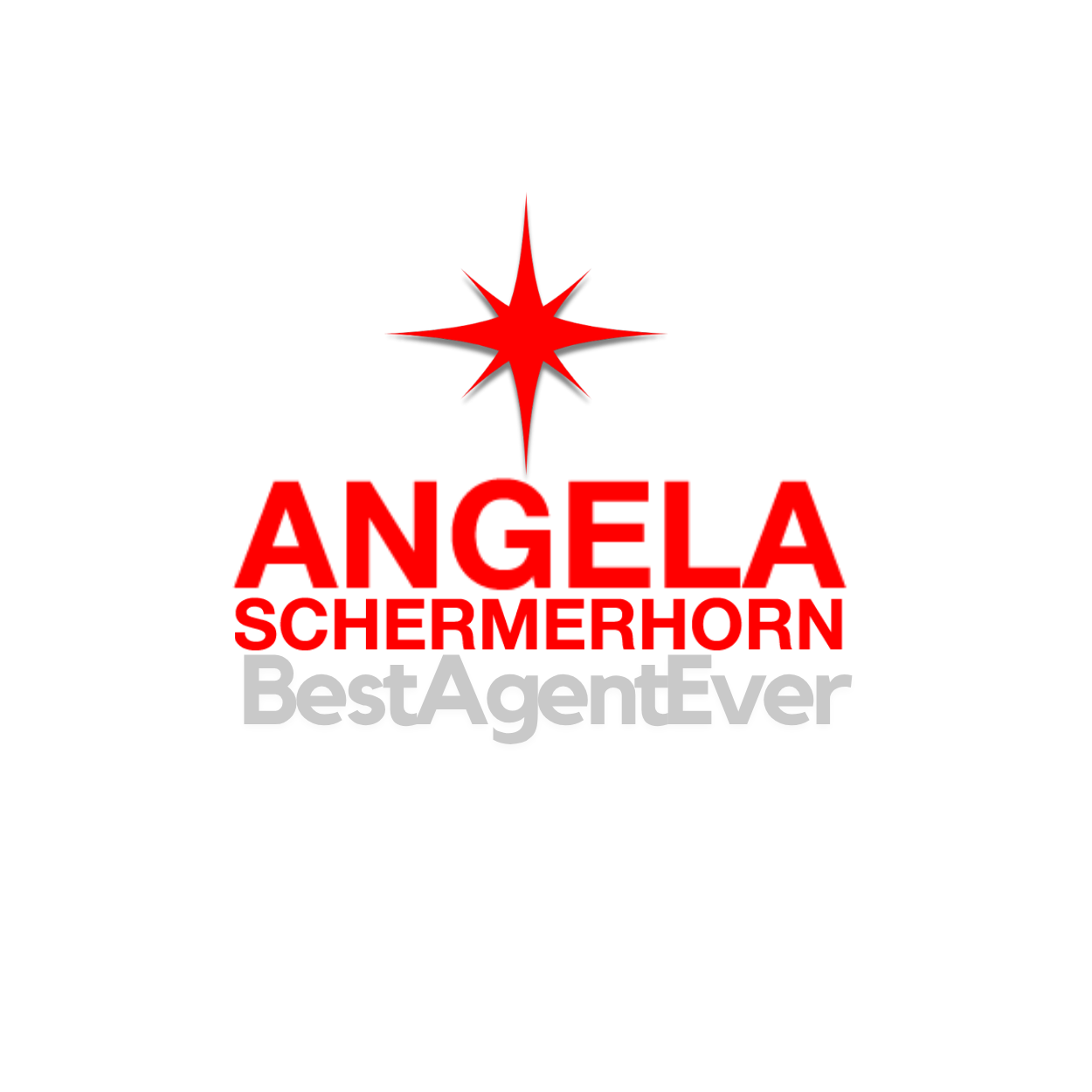 Angela Schermerhorn ~ 25+ Years of Strategic Vision + Creative Execution